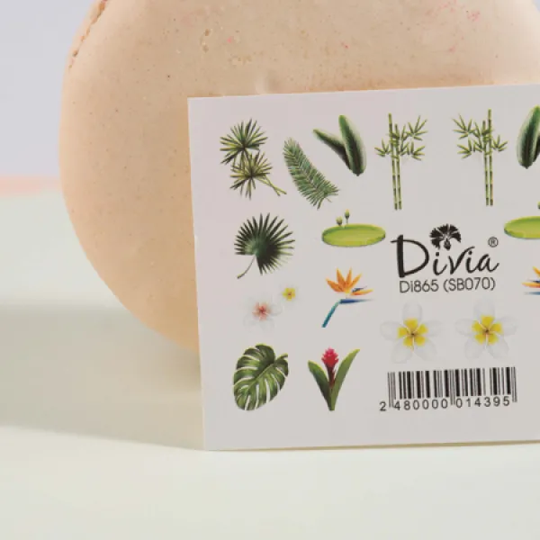 Divia